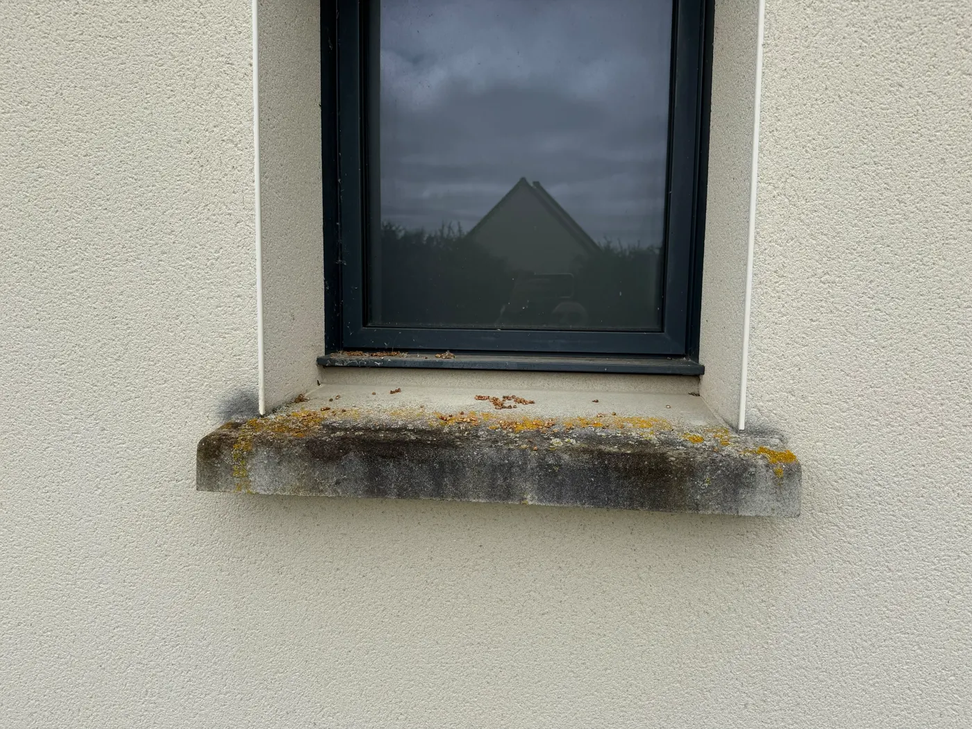 Un appui de fenêtre en pierre couvert de lichen jaune et de dépôts noirs, sur une façade en crépi clair.